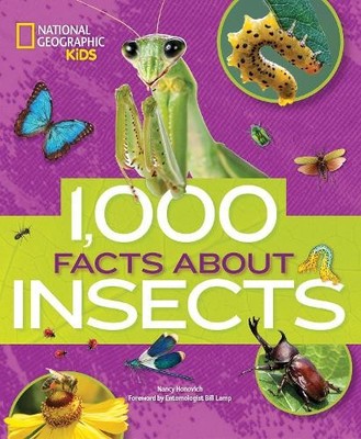 Nancy Honovich 1000 Facts About Insects (Gebundene Ausgabe) (US IMPORT)
