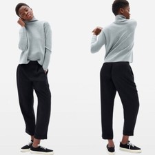 Everlane Put-Together Pleat Pants Size 6