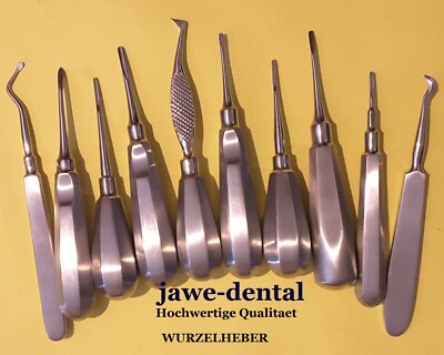 10 Teilen Verschieden Wurzelheber Set