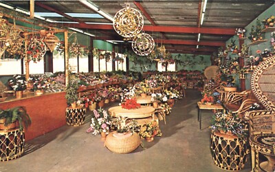 Basketville Flower Room Putney Vermont Worlds Larges Basket Store Postcard