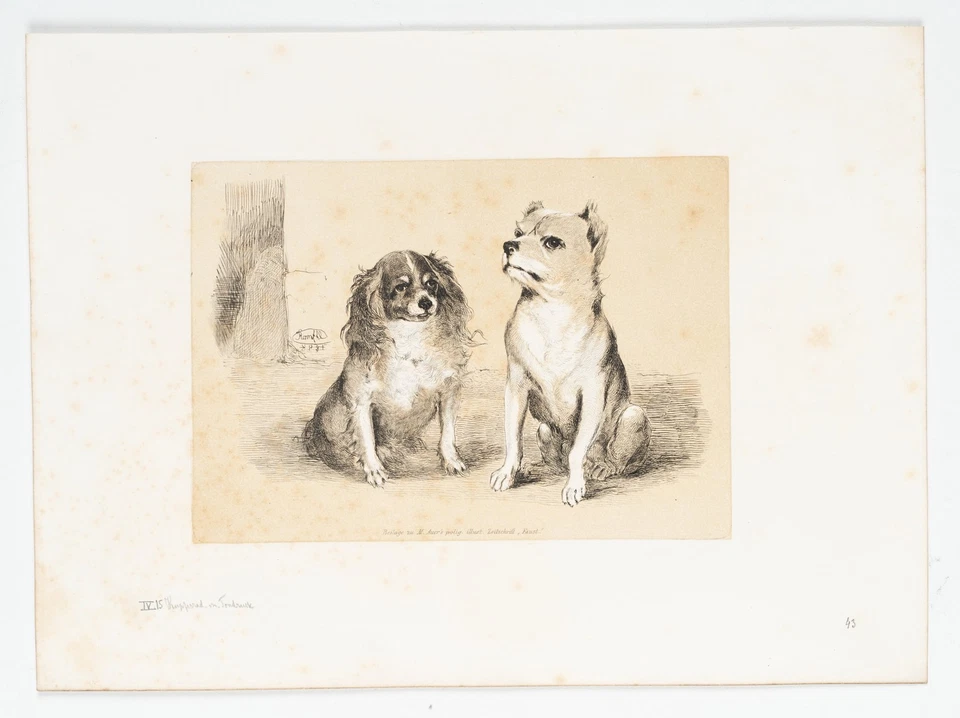 J. RANFTL (1805-1854), Zwei kleine Hunde,  1848, Radierung Romantik Tiere - Bild 2 von 4