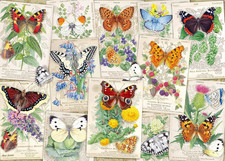 Wonder Forge Butterfly Splendor 1000 Piece Jigsaw Puzzle for Adults