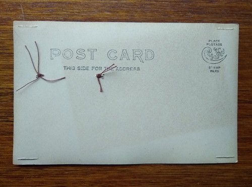Antigua postal CYKO sin usar con fotografía de gato y calendario completo de 1909 - Imagen 6 de 6