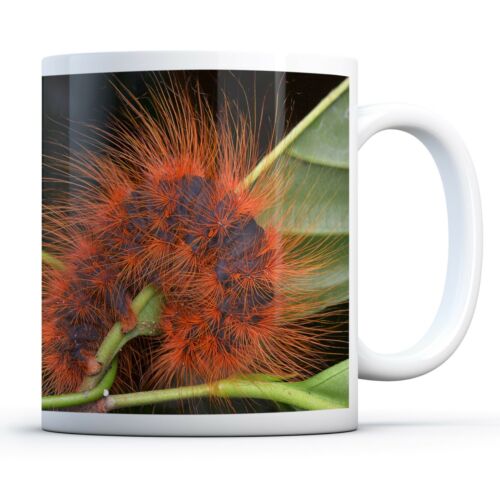 Cool Giant Caterpilla? - Drinks Mug Cup Kitchen Birthday Office Fun Gift #16855 - Afbeelding 1 van 5