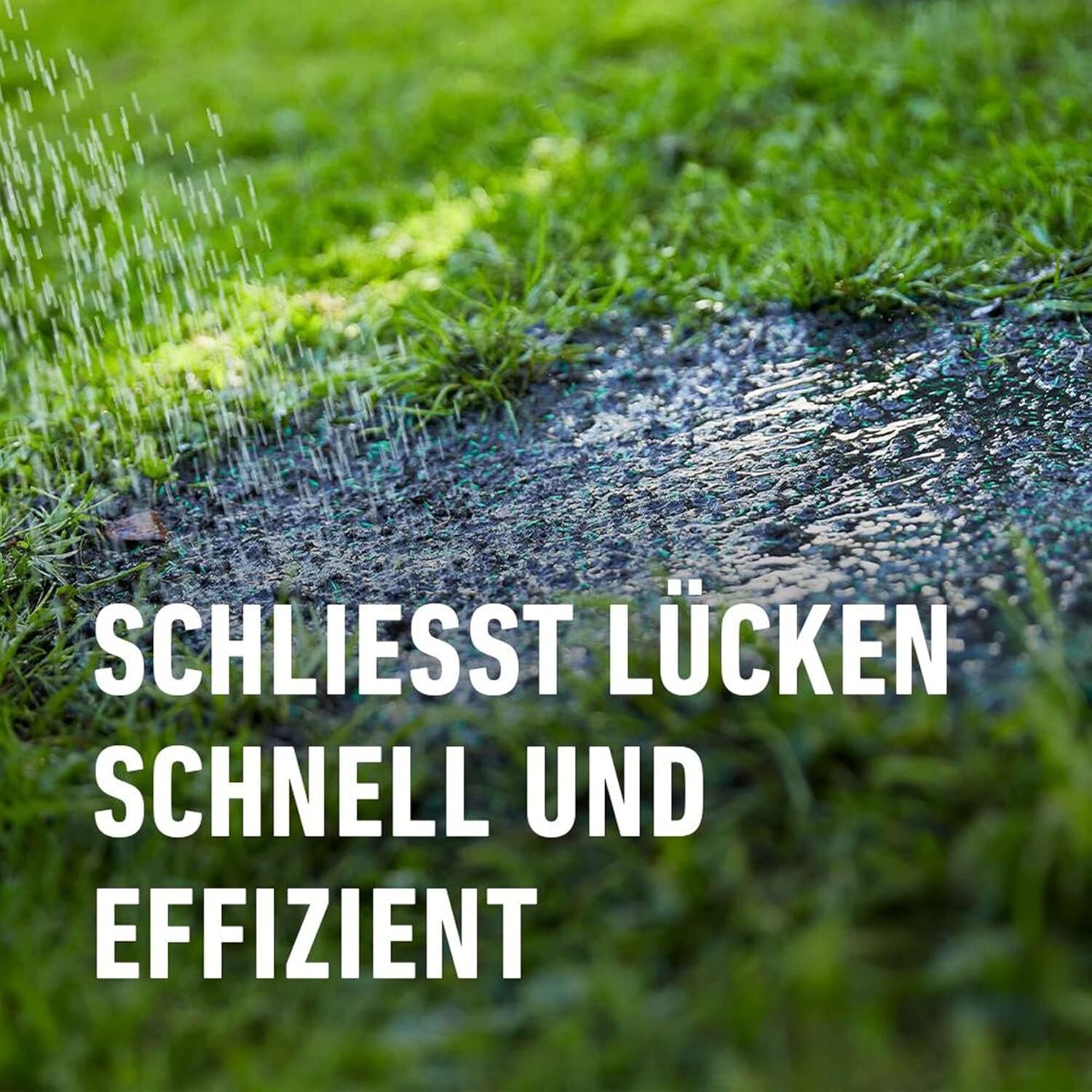 Bild 5 von 10