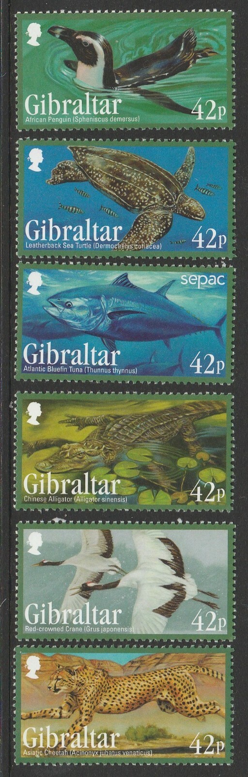 Foto 1 di 1