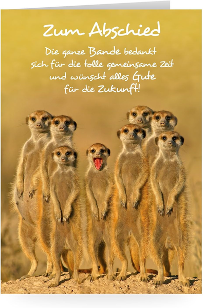 Din A4 Abschiedskarte, Karte Zum Abschied Von Kollege Und Kollegin, GrußKarte Zu-image