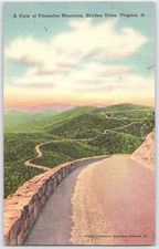 Vintage Pinnacles Mountain Skyline Drive Virginia Linen Postcard 1951