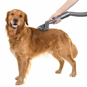 dyson dog grooming brush