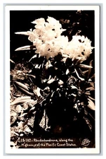RPPC Rhododendron Flowers Pacific Highway Mosier Oregon OR Sawyer's Postcard V6