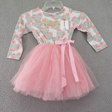 Fayfaire Clothing Co Toddler Girls Pink Third Birthday Dress Tulle 3T New