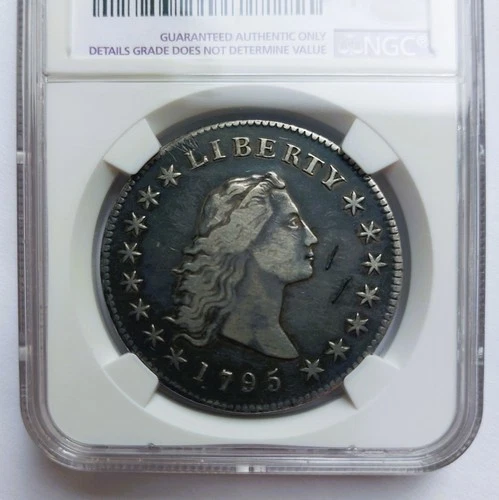 1795 NGC Genuine VF Details Damaged Flowing Hair Silver Dollar