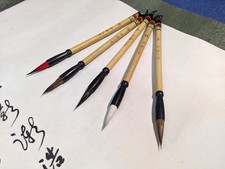 Chinese /Japanese Calligraphy Brushes - Set of 5 Mixed Bristles