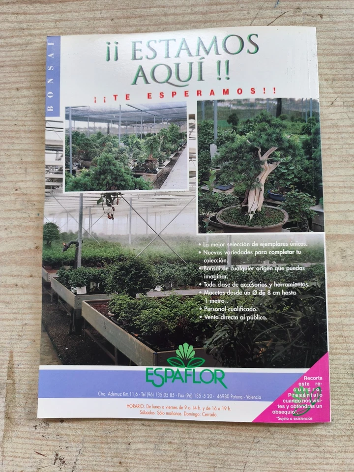 Revista Bonsai Actual - Numero 49 - Imagen 4 de 4