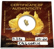 Goldwise Natural Aussie Gold Nugget 0.30g 20-22k purity Kalgoorlle Origin