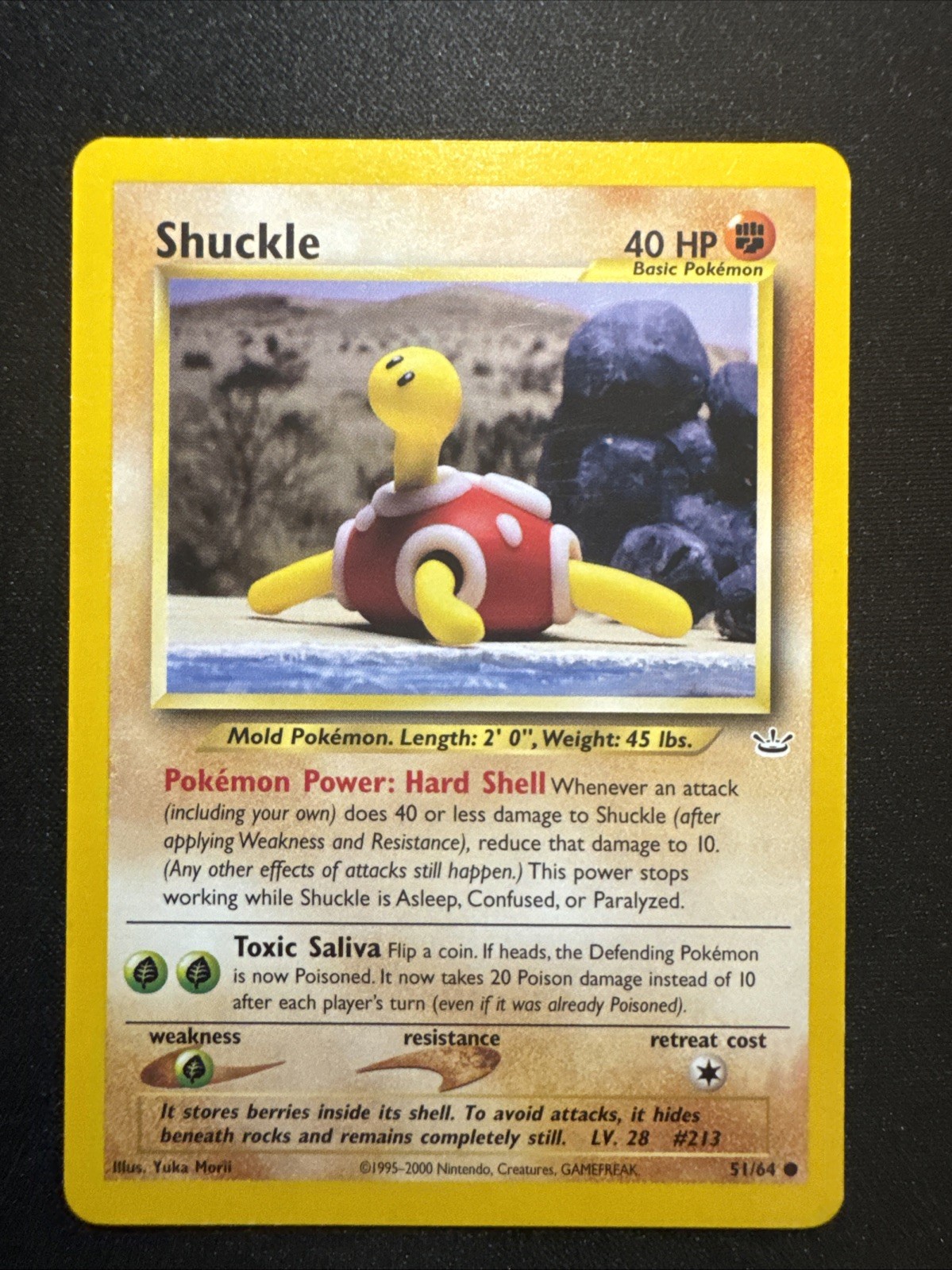 Shuckle 51/64 Neo Revelation Regular