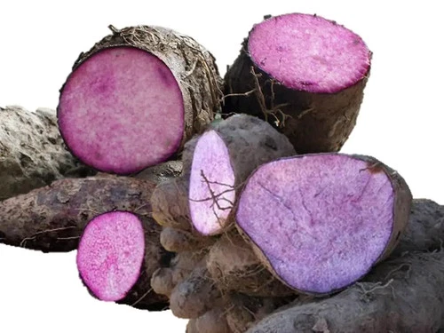 Dioscorea alata Se eds, Purple Yam, Ube, Winged Water Greater Yam