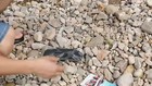 Video 1 von 1
