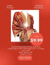 Outlined Reversible Paisley Pashmina Rust Brown / Shawl / Wrap / Fringe / Scarf