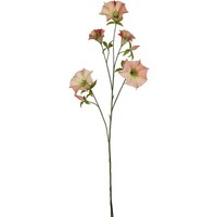 Kunstblume Datura, 2Er Set, Farbe Apricot, HöHe Ca. 113 Cm
