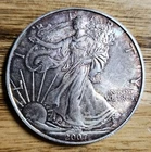 2007 Walking Liberty American Eagle 1 Oz. .999 Fine Silver One Dollar Coin Toned