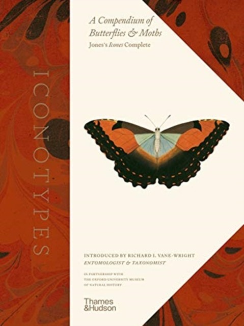 Iconotypes : A Compendium Of Butterflies And Moths. Joness Icones Complete Richard I. Vane-Wright - Image 3