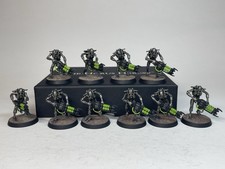 Pro Painted Necron Warriors Canoptek Scarab Swarm Warhammer 40k Necrons