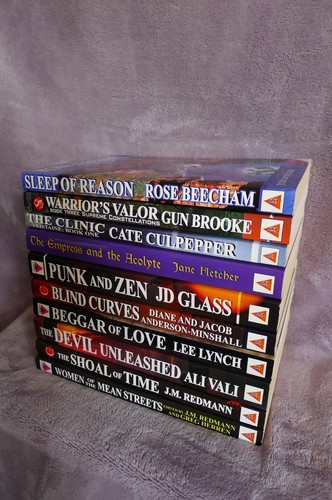 (10) BOLD STROKES BOOKS Lesbian Novels - Beecham Brooke Fletcher Vali Redmann ++ - Foto 12 di 12