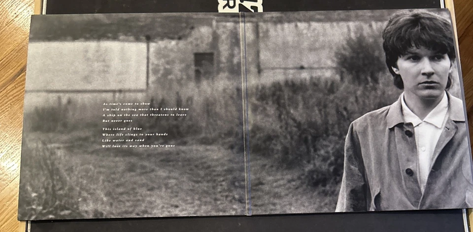 Gone to Earth by David Sylvian (Record, 2019) Reissue Gatefold Double Vinyl LP - Image 2 of 4