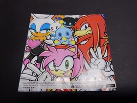 Sonic Adventure 2 case manual back inlay back jacket Dreamcast SONIC Japan 2m