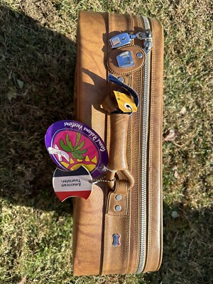 1983 American Tourister Verylite Luggage Set, Soft Sided Brown 2