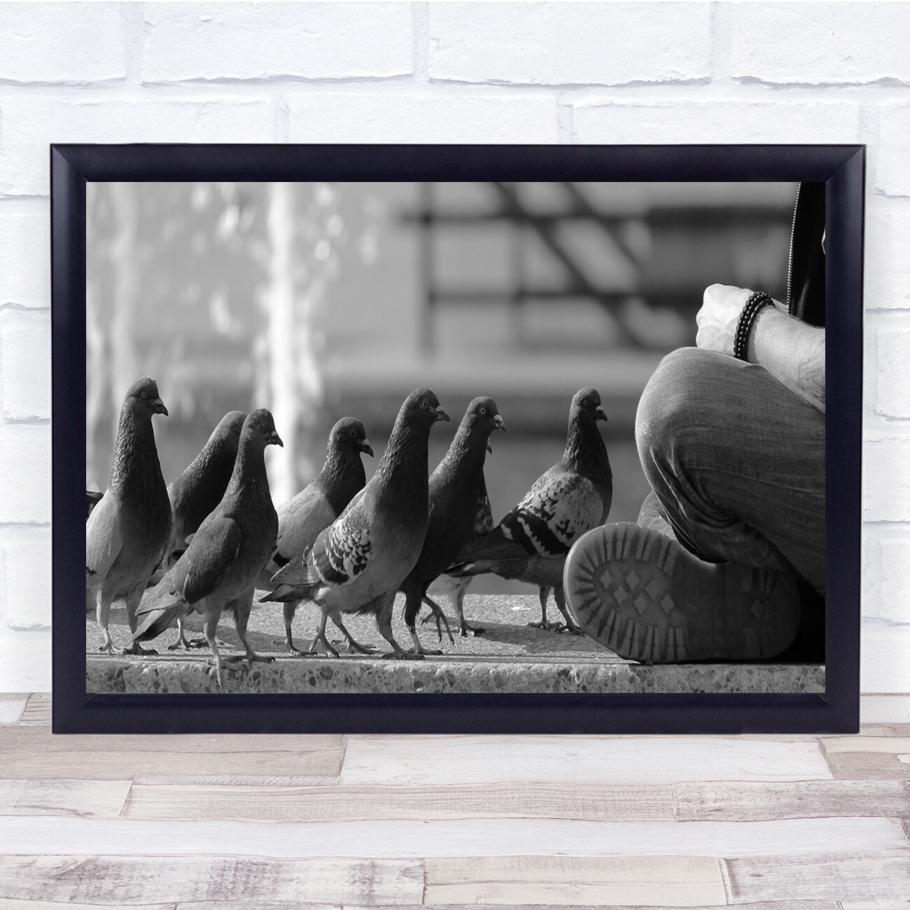 Pigeons Birds Street Person Sitting Queue Line Food Hungry Wall Art Print