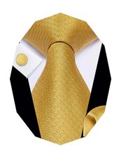 Ties for Men Silk Woven Solid Gold Tie with Handkerchief Cufflink Set Party W...
