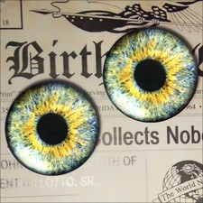 Yellow Glass Eyeballs Realistic Animal Taxidermy Eyes 16mm