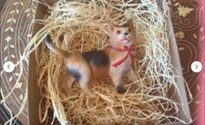 New Dresden Paper Calico Kitty Cat Christmas Ornament Tree Decoration