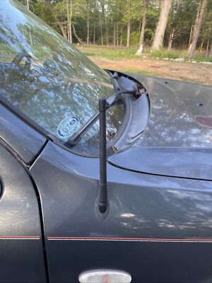 7'' Short Black Antenna Mast Power Radio AMFM for FORD ESCAPE 2001-2012 Brand New
