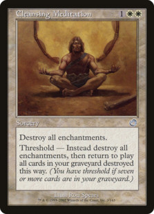 Cleansing Meditation Torment MTG NM