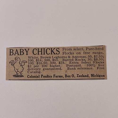 Colonial Poultry Farms Baby Chicks Pure-Bred Zeeland MI 1923 Ad SAG8 ...