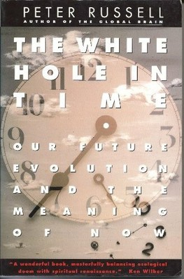The White Hole in Time: Our Future Evolution and the Meaning Buch HarperCollins