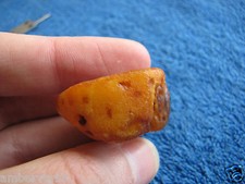 Natural Baltic amber 11 g yolk yellow big stone 琥珀 craft Butterscotch gemstone