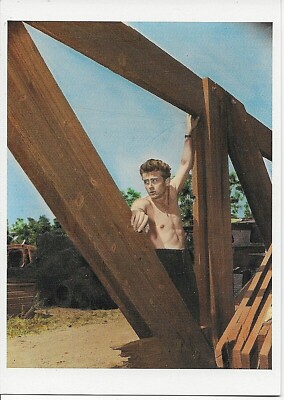 James Dean, American Actor (1931-1955), Reproduction Image --POSTCARD
