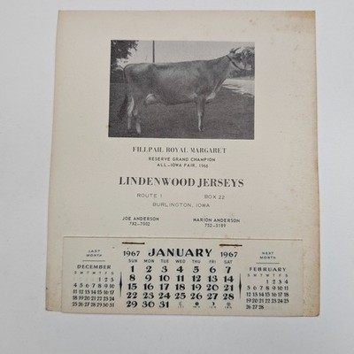 Vtg 1967 Lindenwood Jerseys Adv Calendar Jersey Cow Burlington IA Fair Champion