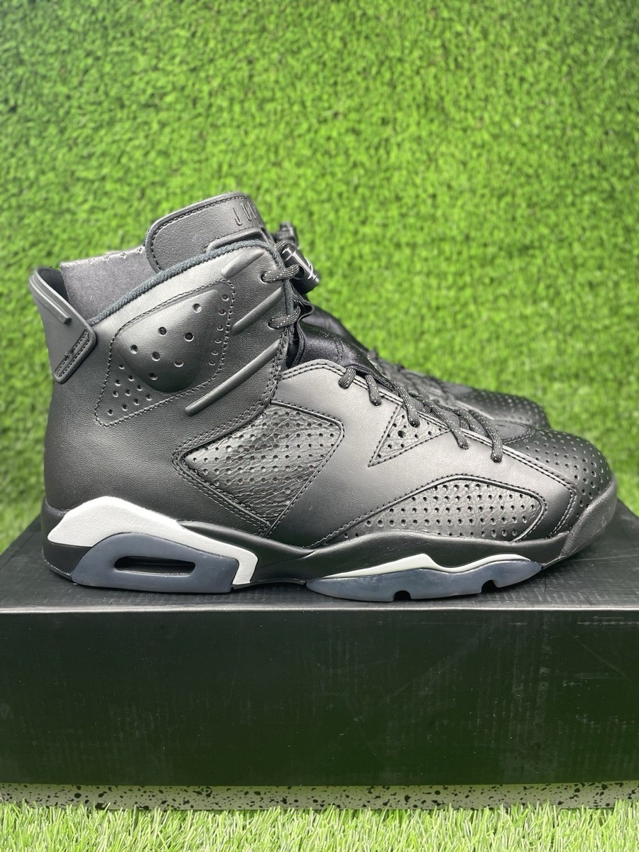 Nike Air Jordan 6 Retro Black Cat ナイキ エアジョーダン6 Size 10 - Air Jordan 6 Retro Black Cat for sale online | eBay