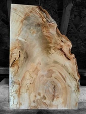 XXL MIND BLOWING CURLY AMBROSIA  Maple Burl Wood, EPOXY WOOD, CRAFT WOOD, MAPLE 