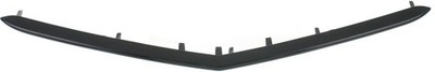 Lower For Acura TL 2012-2014 New Grille Trim Grill Plastic AC1216101 75180TK4A11
