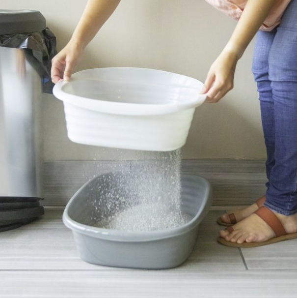 Arm & Hammer Light Gray Sifting Cat Litter Box, Large, 15.21" W x 18" L