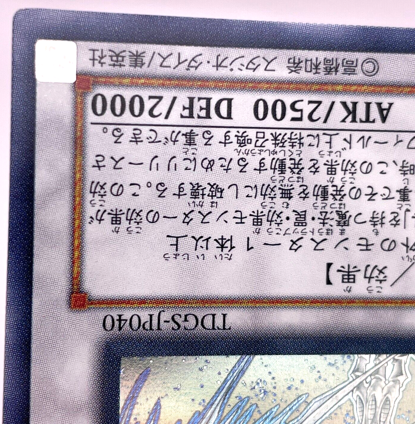 Foto 13 di 22