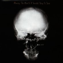 The Mind Is a Terrible Thing to Taste von Ministry | CD | Zustand gut