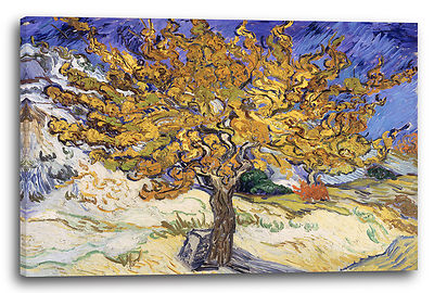 Lein-Wand-Bild Kunstdruck: Vincent Van Gogh - Maulbeerbaum (1889)