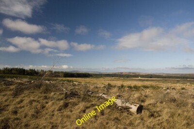 Photo 6x4 Forestry near Avenvogie, Islay Cnoc na Tri-dail (fort) Some of  c2014